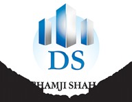 DSS Group logo